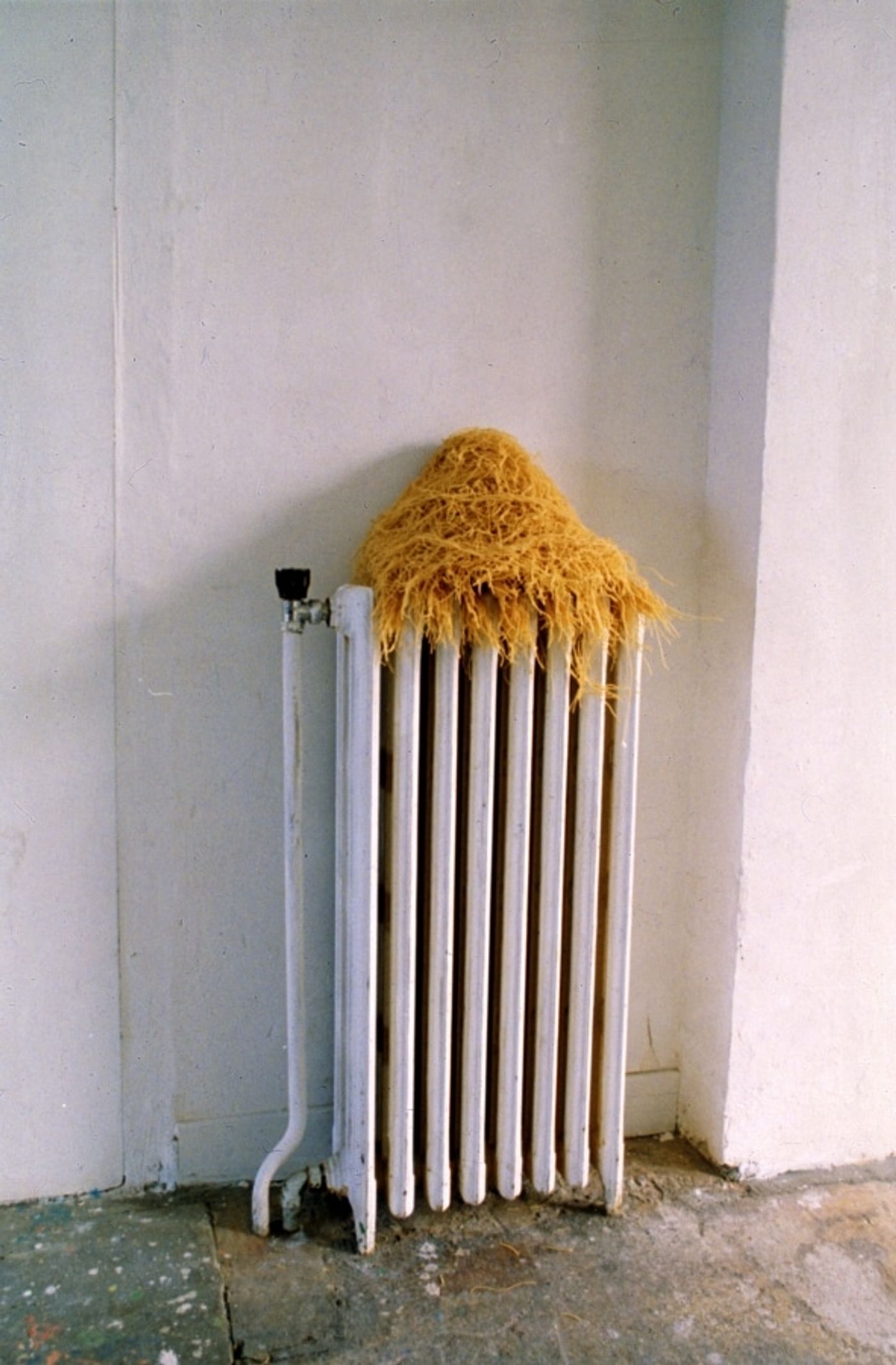 HAY MOUNTAIN______pasta, heater / 1992