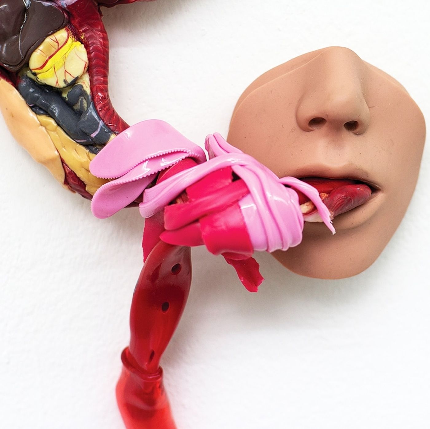 SWEET TOOTH / 53X26X15cm / mixed media, plastic / 2011-2018/ Detail