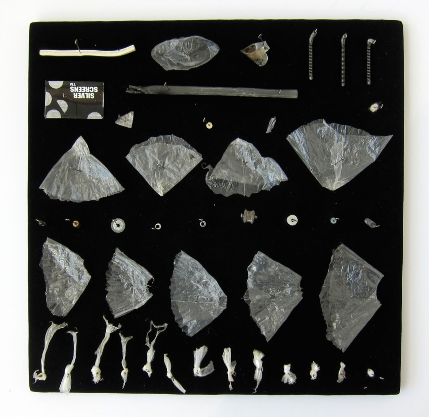 MOTH COLLECTION_______debris from heroin and crack use / various sizes / 2011