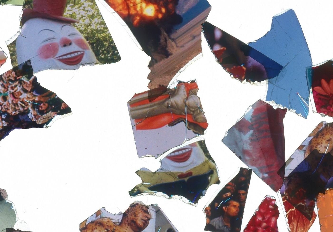 WHEN ANGER SINGS SHRAPNEL FLIES_______video stills / one-chanel video projection, 5 min video loop / slides shredded in coffee grinder &amp; filmed floating in oil