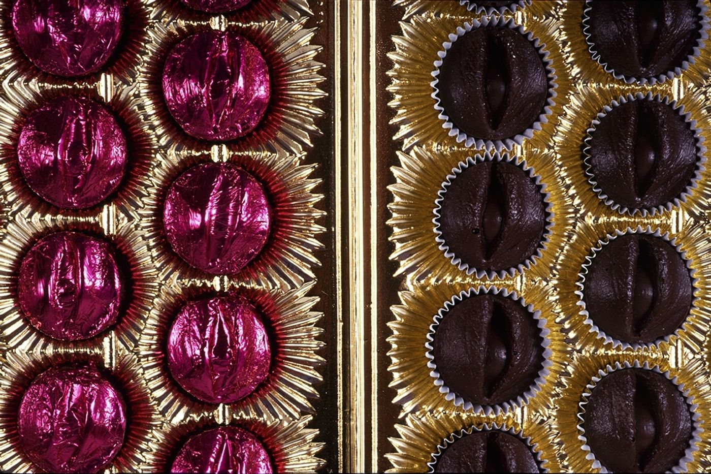 HALCYON NEST. MORGUE CHOCOLATES _______open eyes