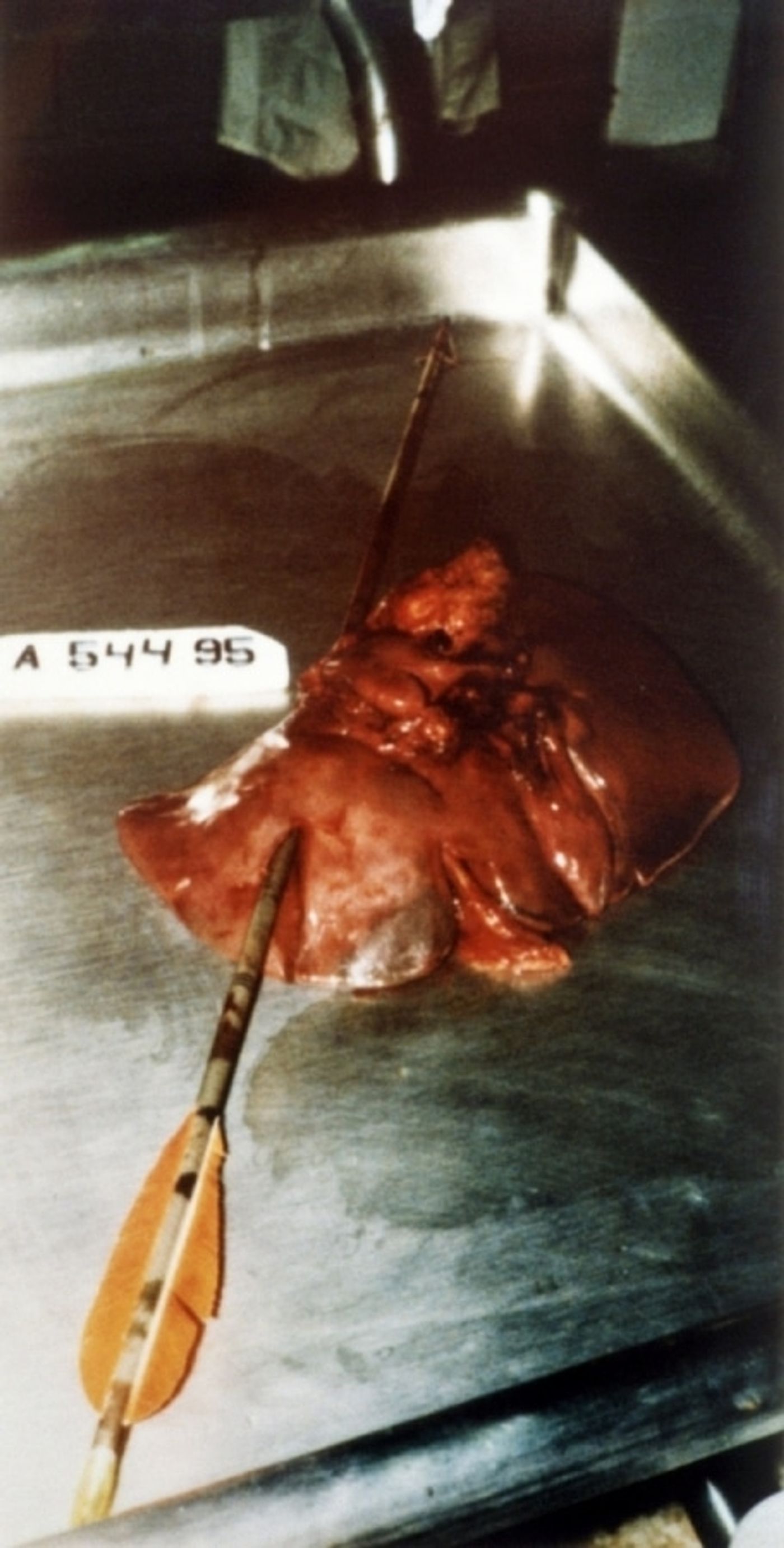 SAINT SEBASTIAAN_______c-print / 80 x 40cm / 1998