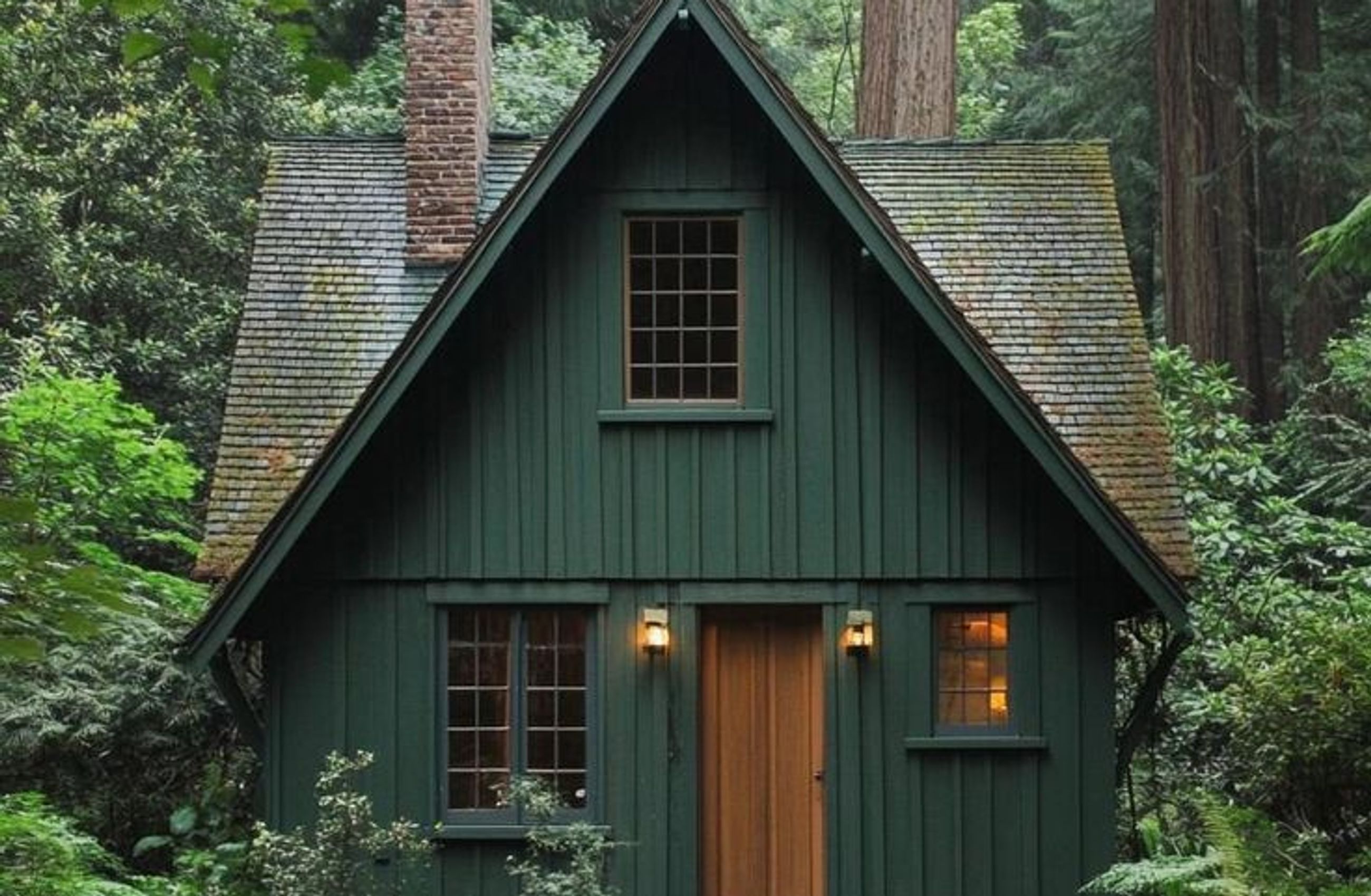 Forest Retreat