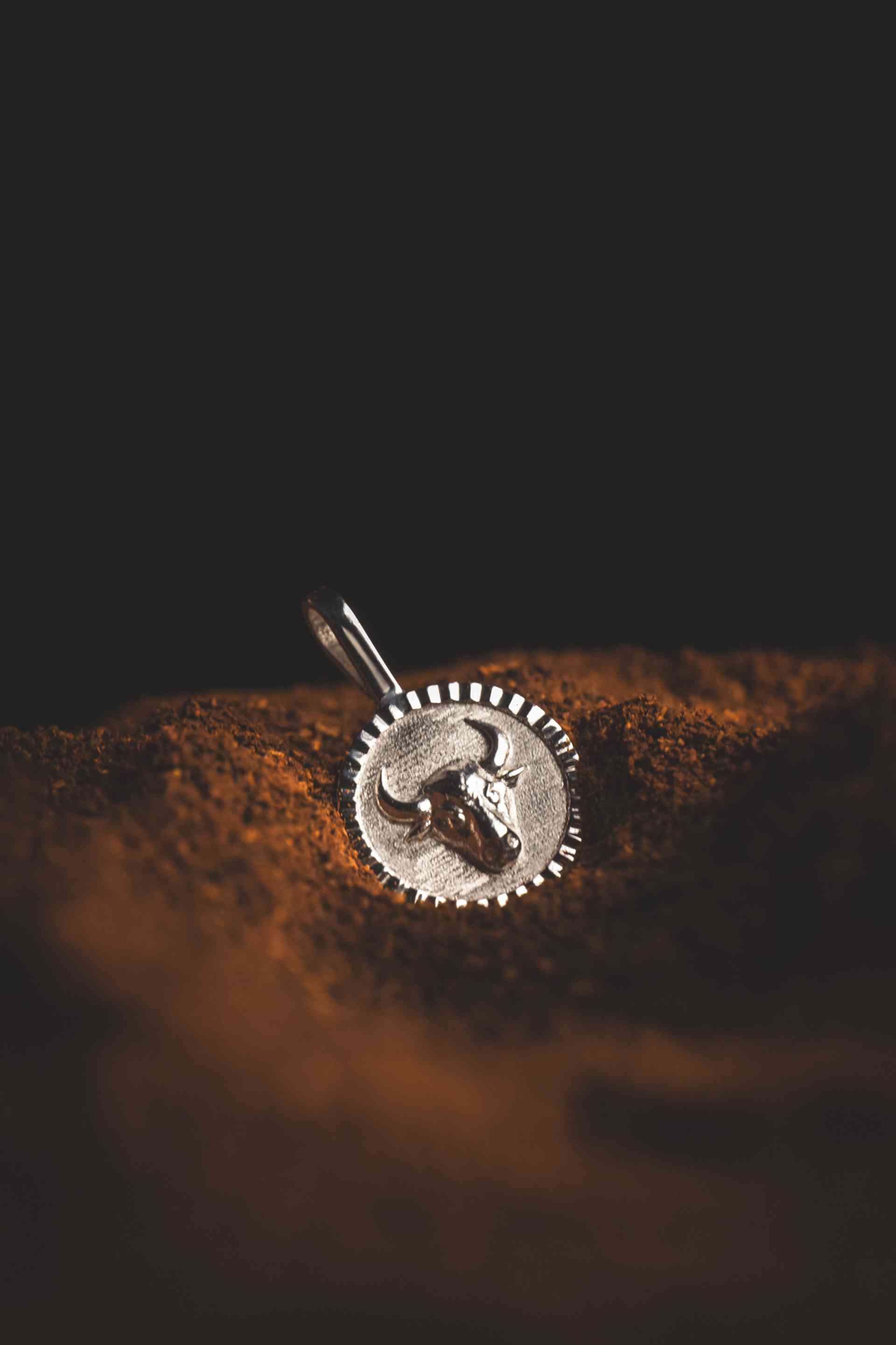 Preview of picture 12 of this project