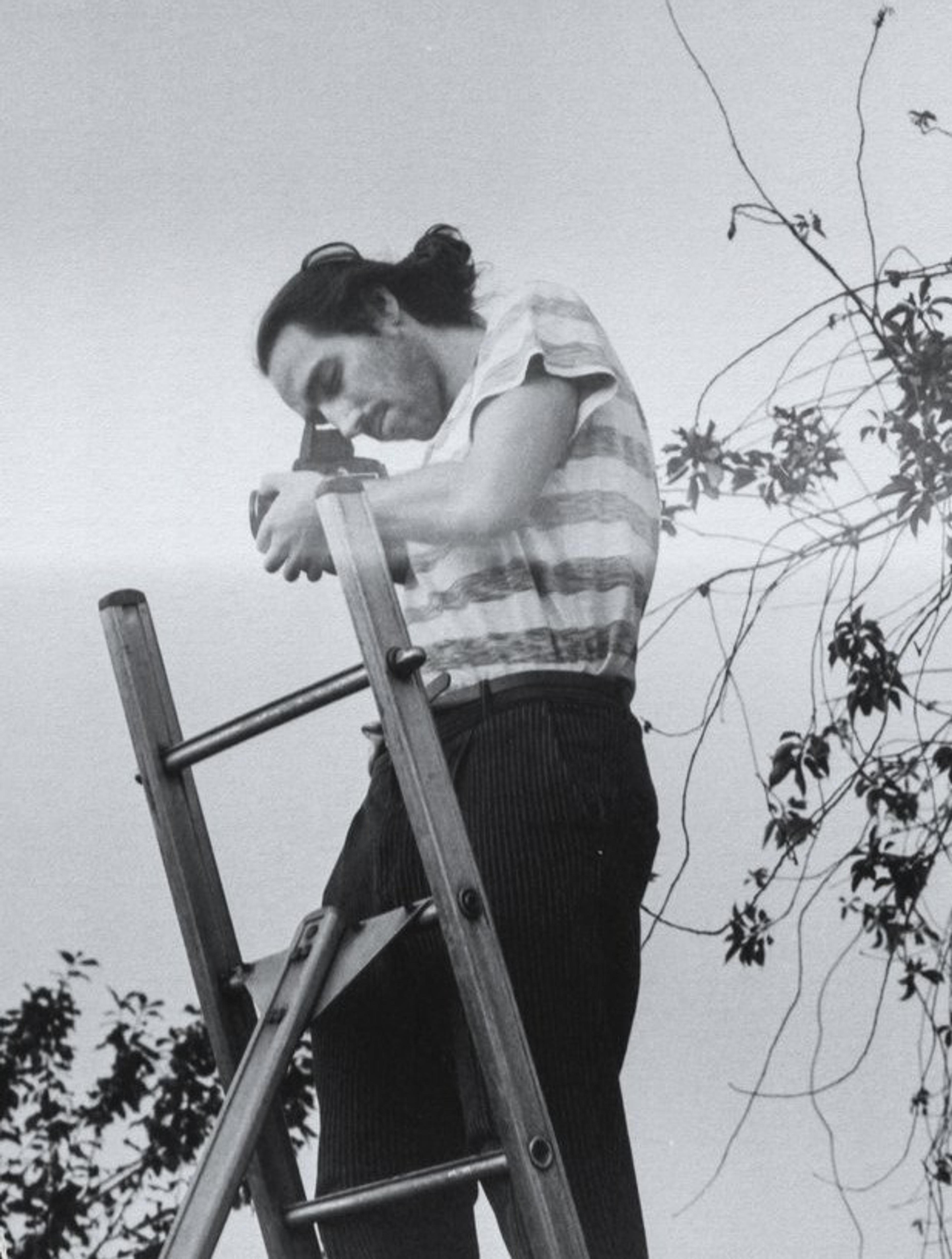 An analog image of Milo, the photographer, taking a picture from a ladder.