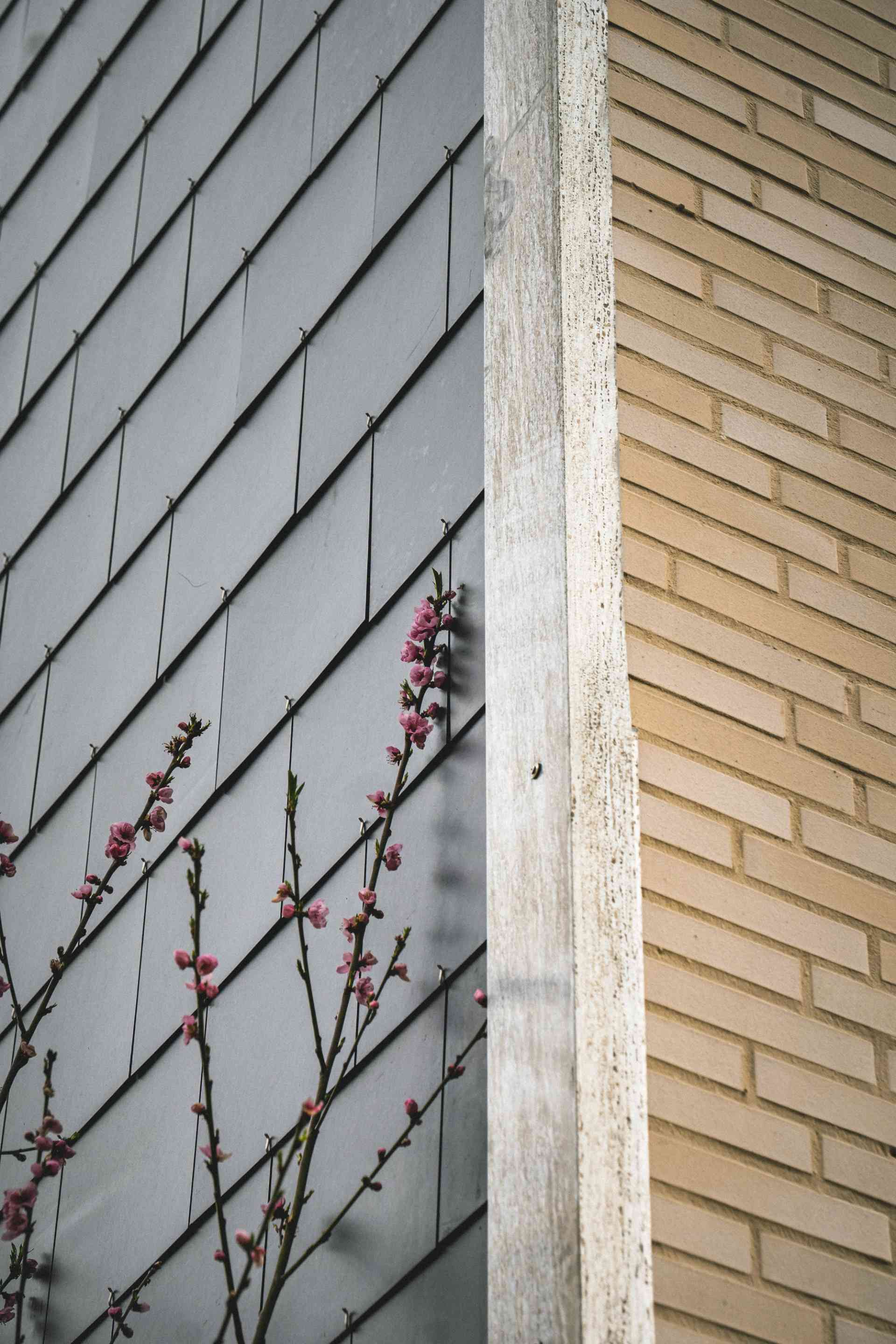 Preview of picture 7 of this project