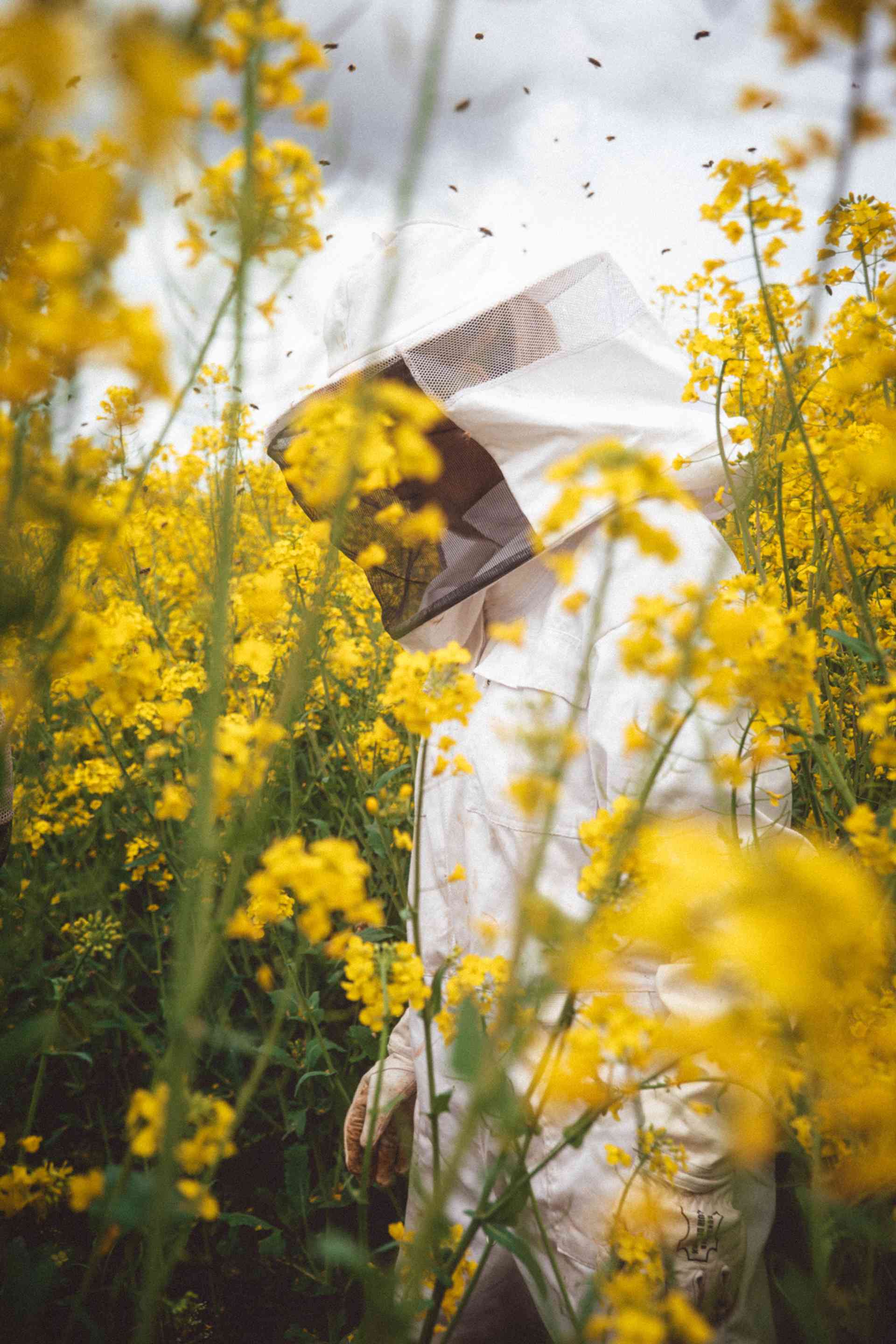 Preview of picture 11 of this project