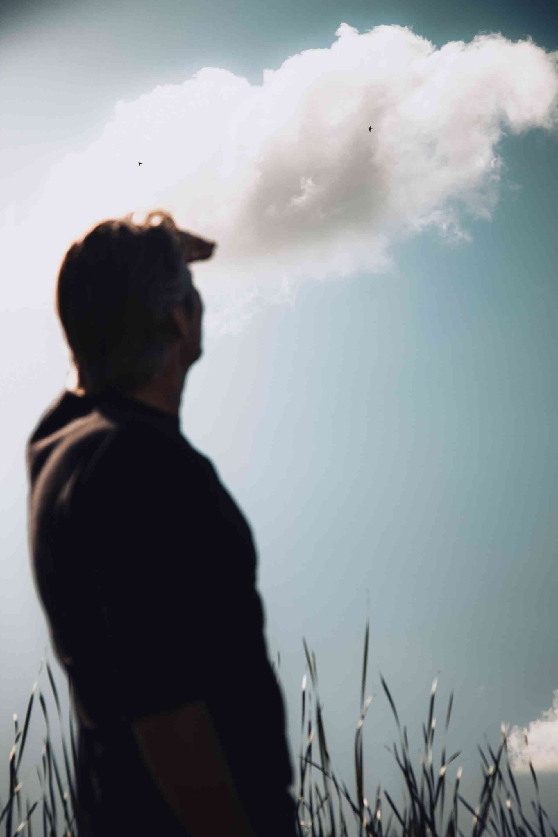 Preview of picture 10 of this project