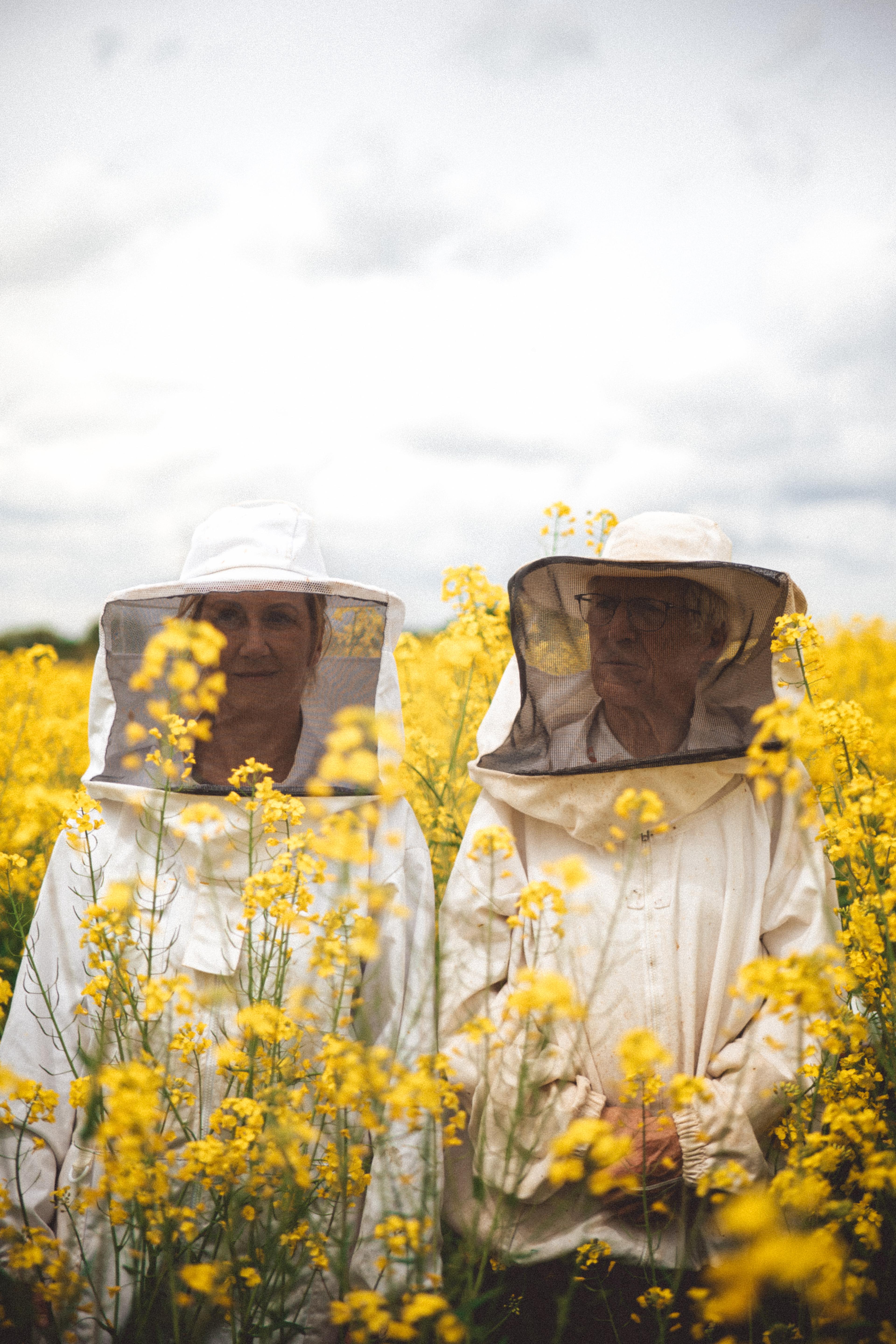 Two beekeepers in their suits standing in the middle of a field of yellow rapeseed flowers