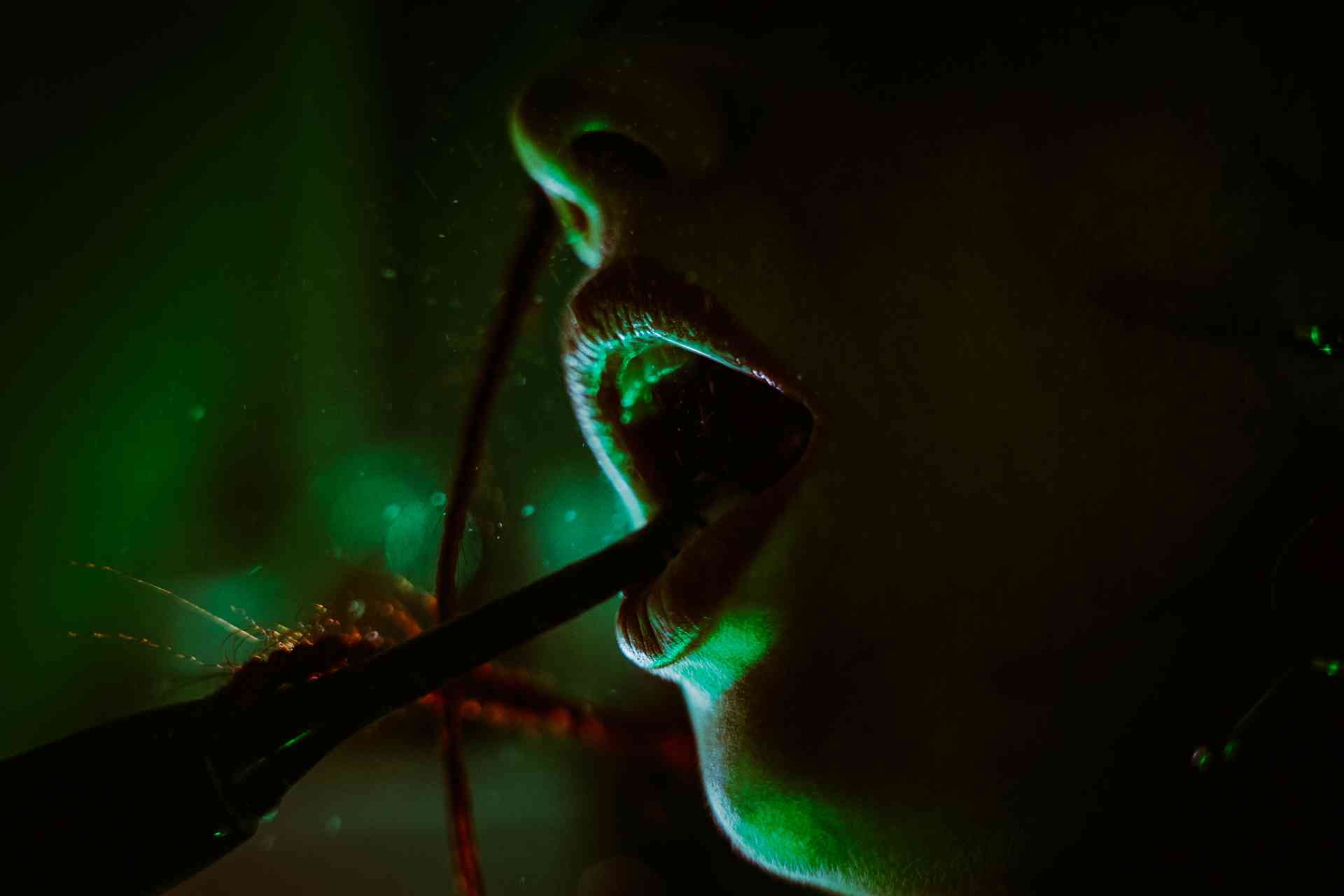 Preview of picture 13 of this project