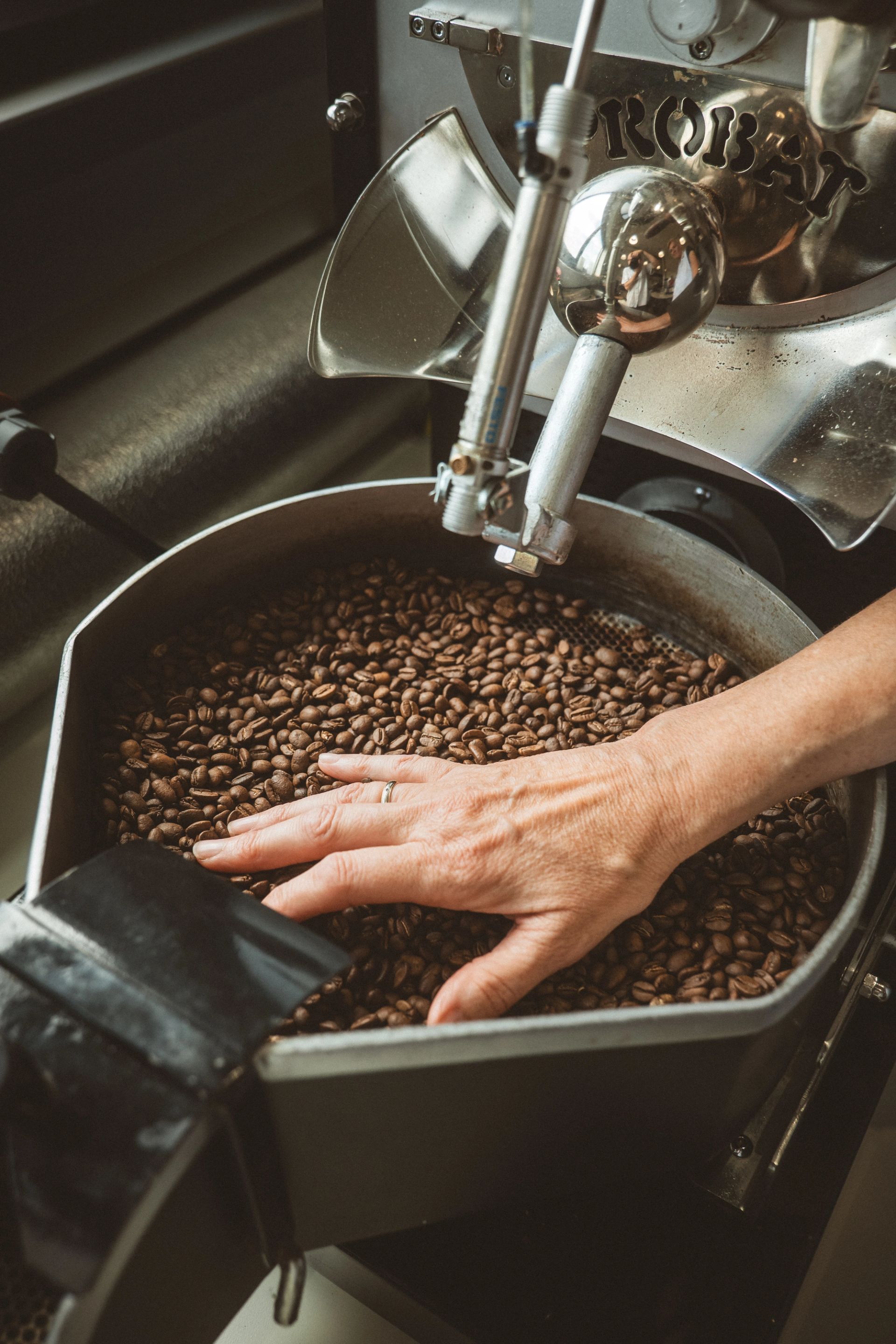 Main posée sur des grains de café torréfiés dans une machine à café.
