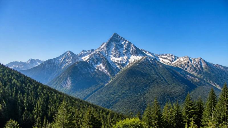Vancouver, Toronto or Calgary: Best Cities for Kiwi Movers to Canada