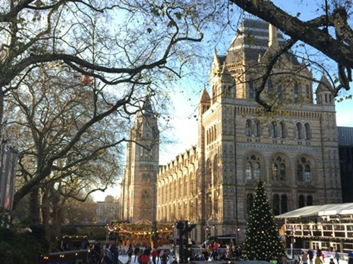 Natural History Museum London with a Christmas tree and ice skating rink in the forecourt