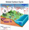 carbon_cycle_diagram_120x121.jpg