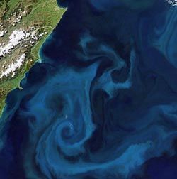 plankton-bloom_NZ_NASA_250x248.jpg