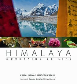 Himalaya_252x276.jpg
