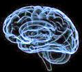 Brain_120x105.jpg