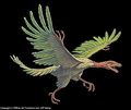 archaeopteryx_120x101.jpg
