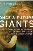 Levy_Giants.aspx_mml