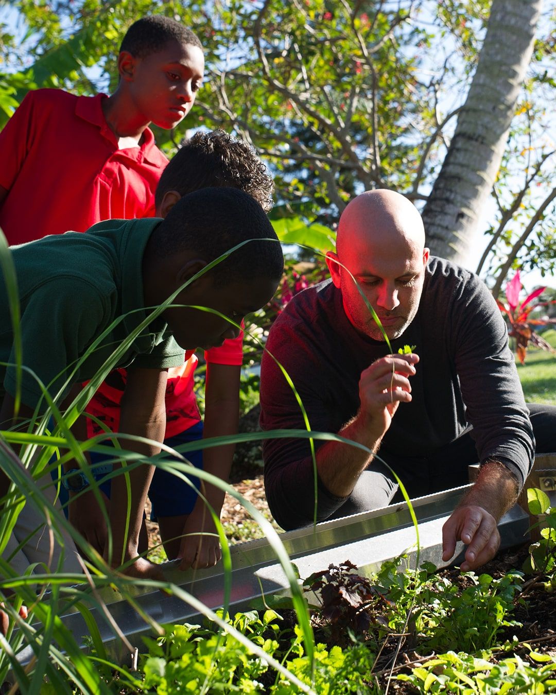 Children and Moshe working in garden