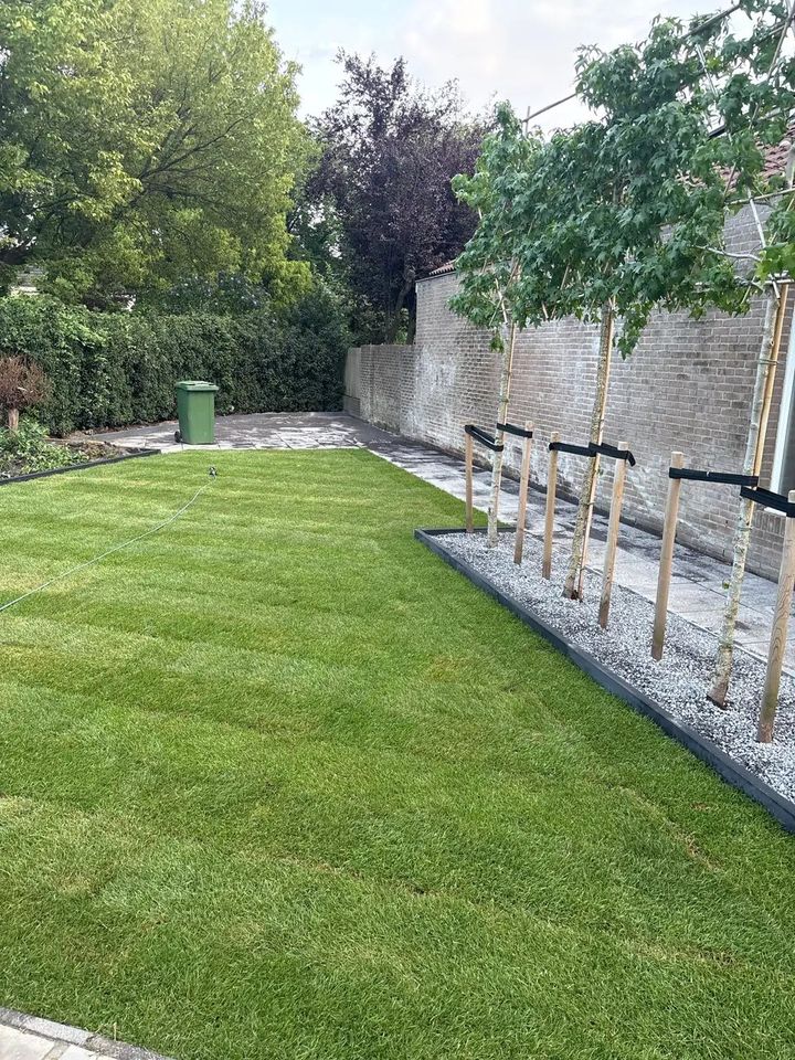 Geëgaliseerde achtertuin met een nieuw gazon en een strook wit grind met jonge bomen langs een muur
