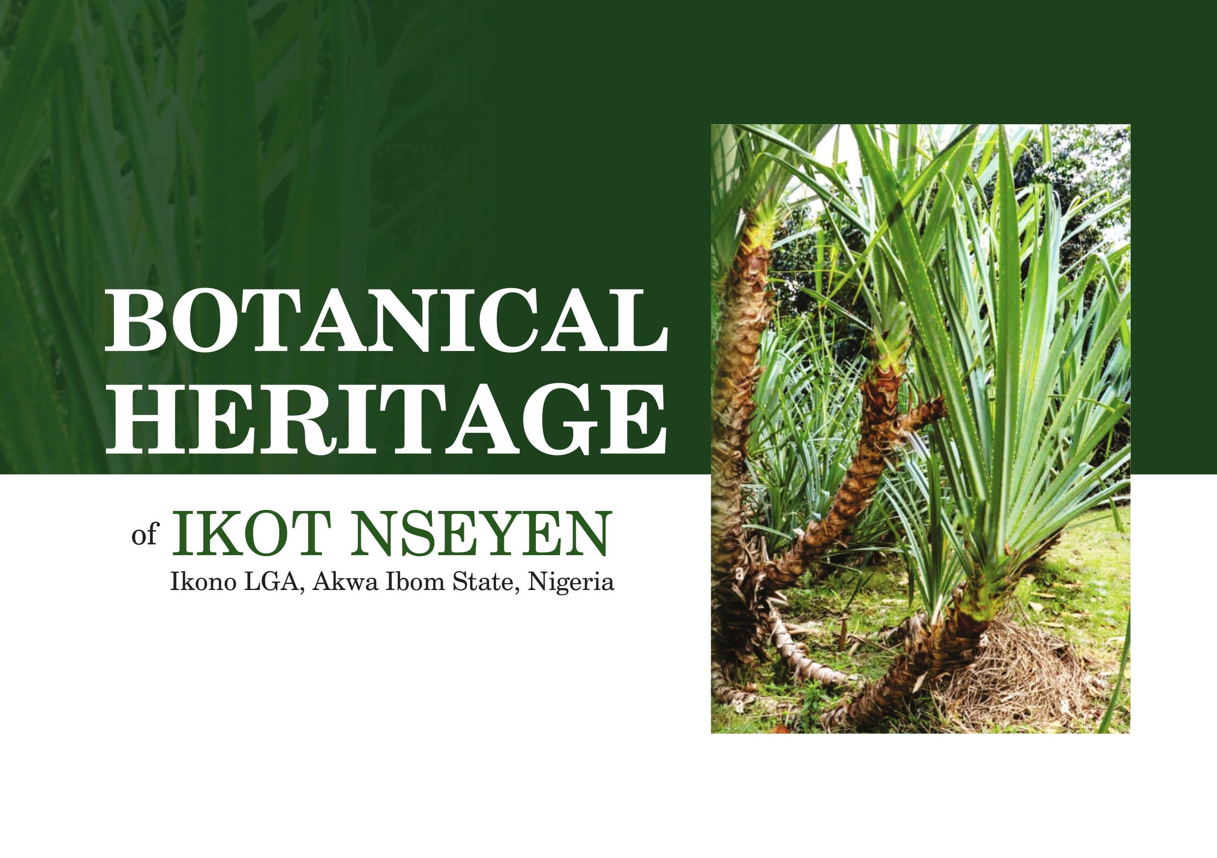 Cover of The botanical heritage of Ikot Nseyen