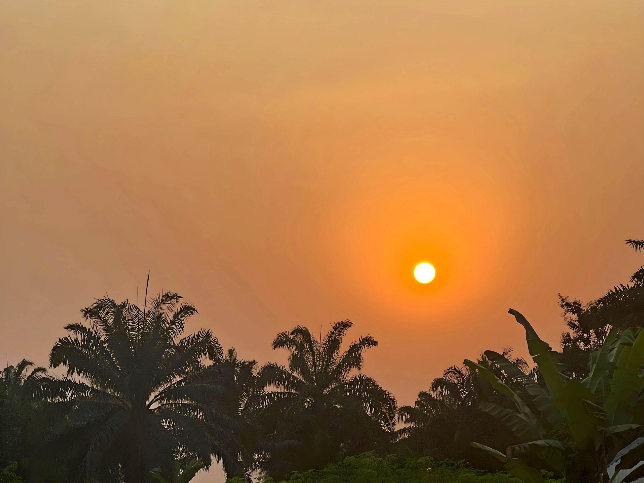 The sun setting over the palms at Ikot Nseyen