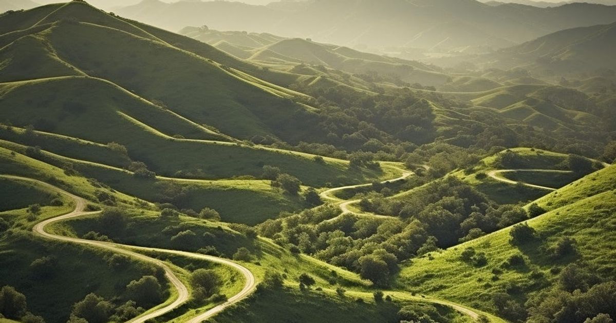 Is Early-Stage Alpha Real or Are VCs on a Random Walk Down Sand Hill Road?