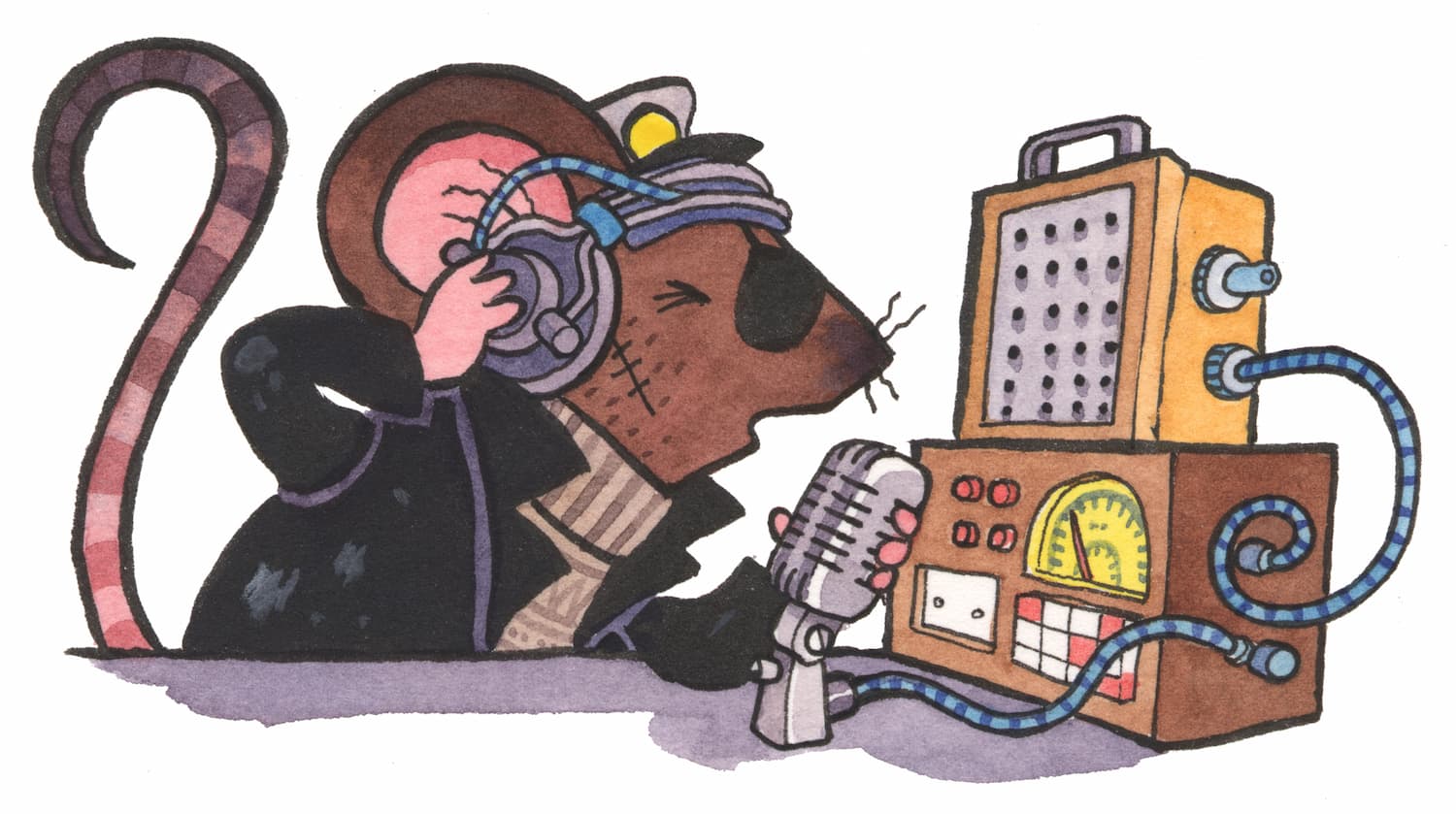 Skipper manning the radio controls