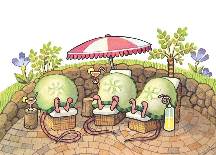 Sunloungers!