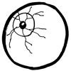 Eyeball