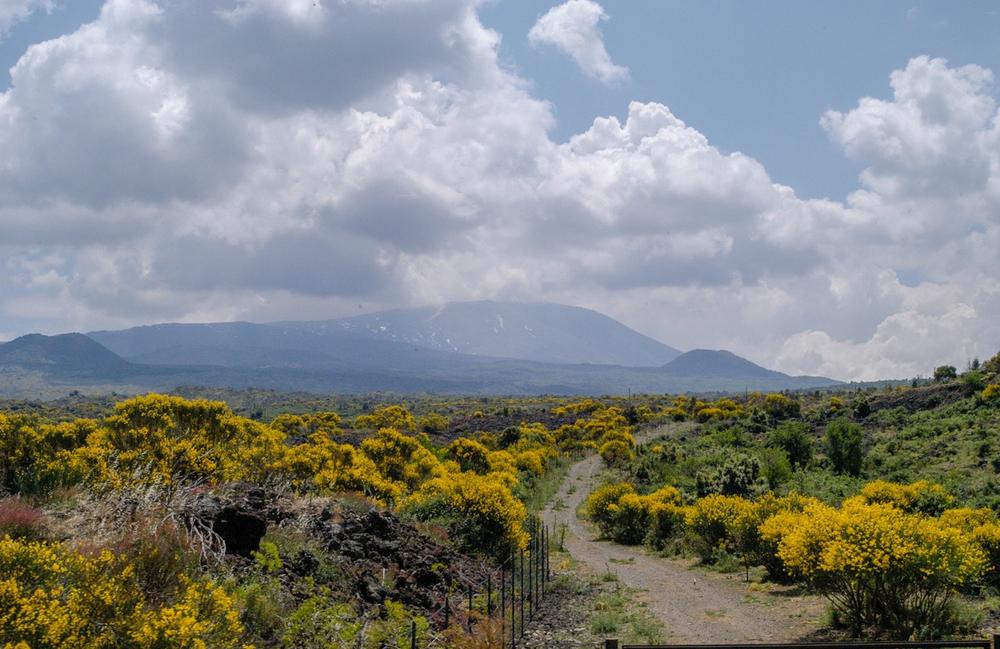 Tenuta Boccarossa