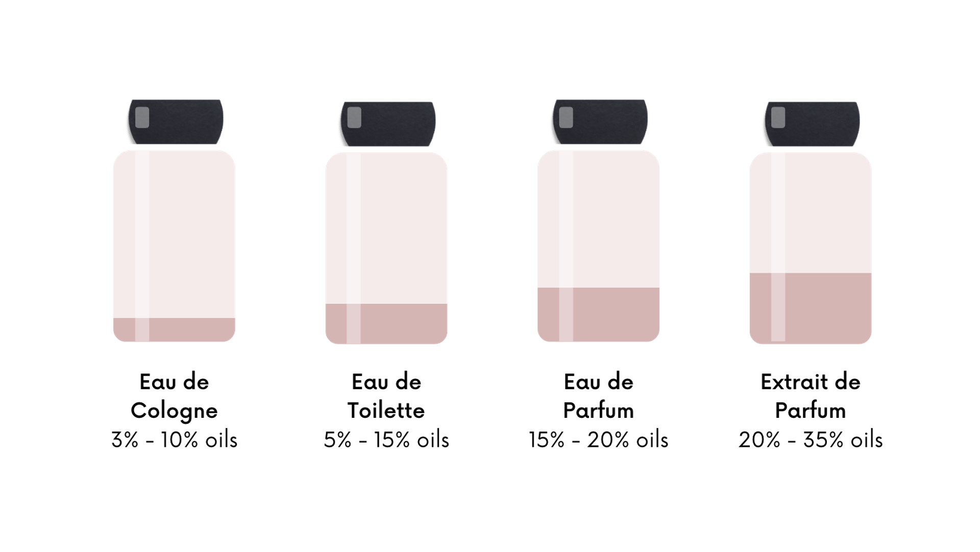Why Are Perfumes So Expensive Top 6 Factors Explained