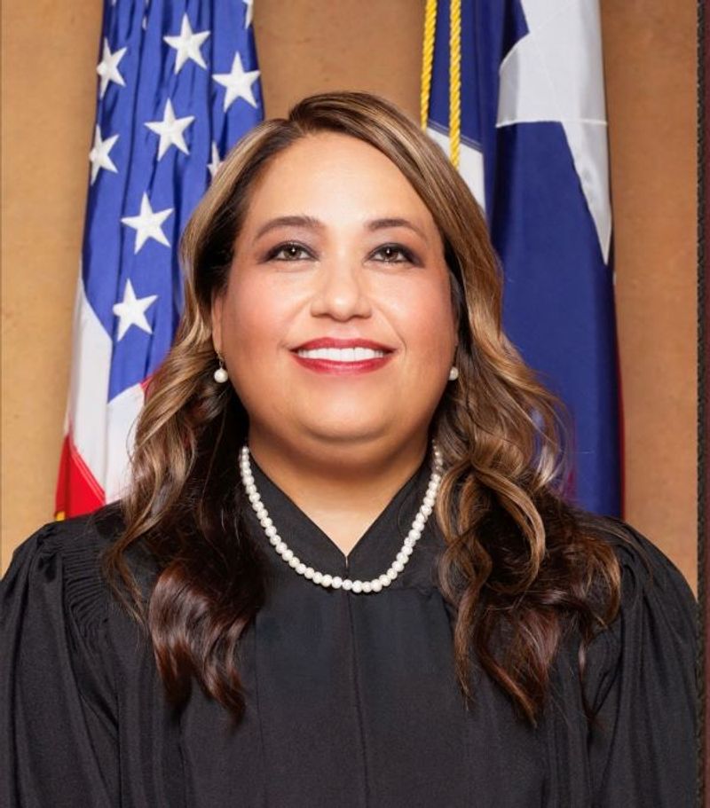The Importance of the Appellate Review in Our Legal System