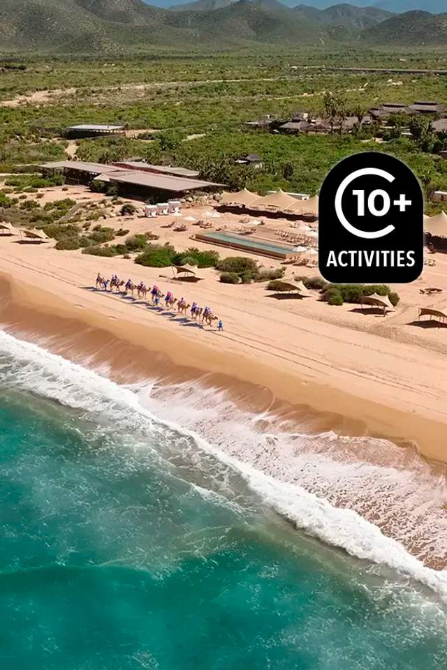 Paseo en camello por playa virgen de Cabo con olas del mar en Tierra Sagrada Beach & Adventure Park
