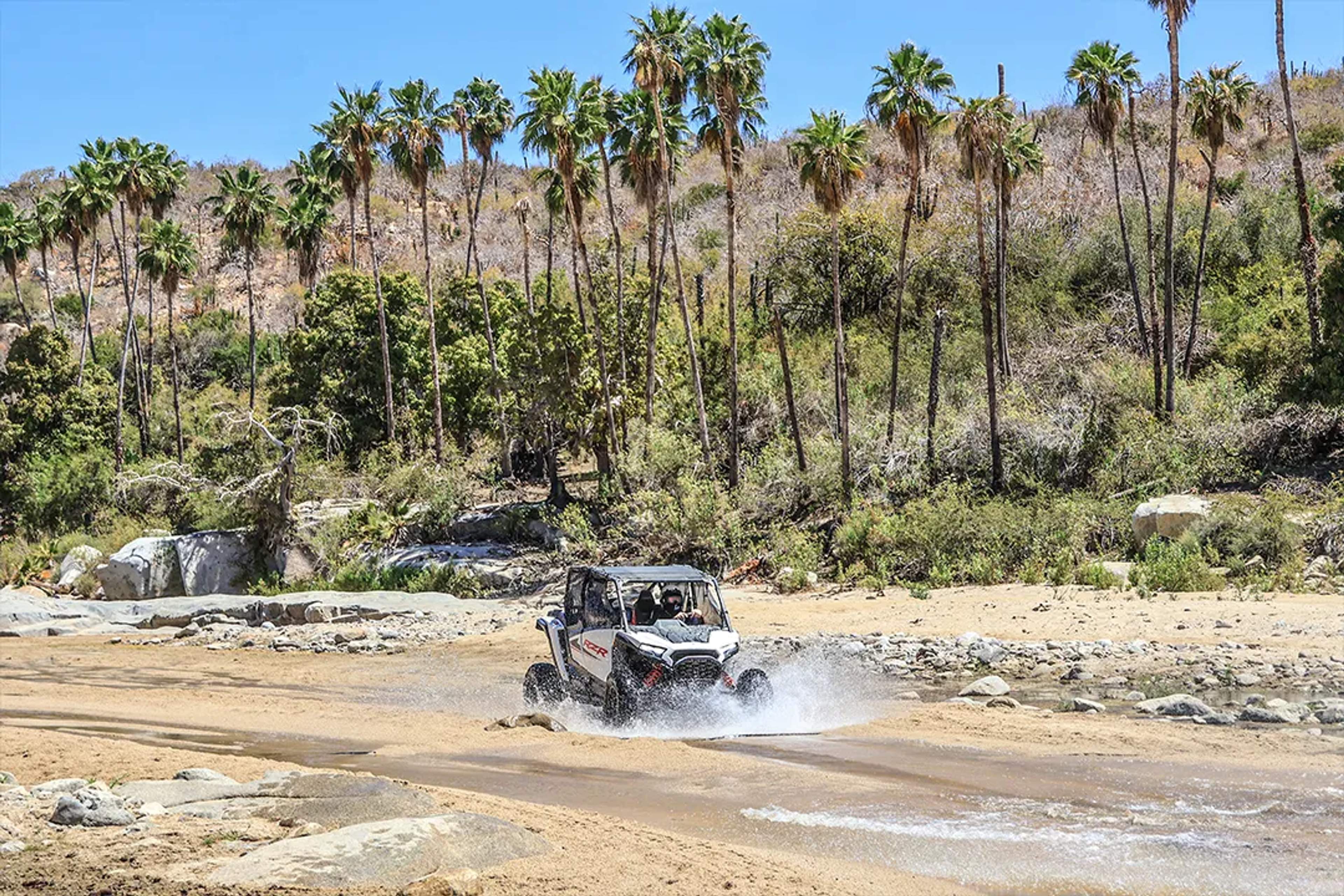 UTV todoterreno cruza un arroyo en un oasis desértico rodeado de palmeras y terreno rocoso.