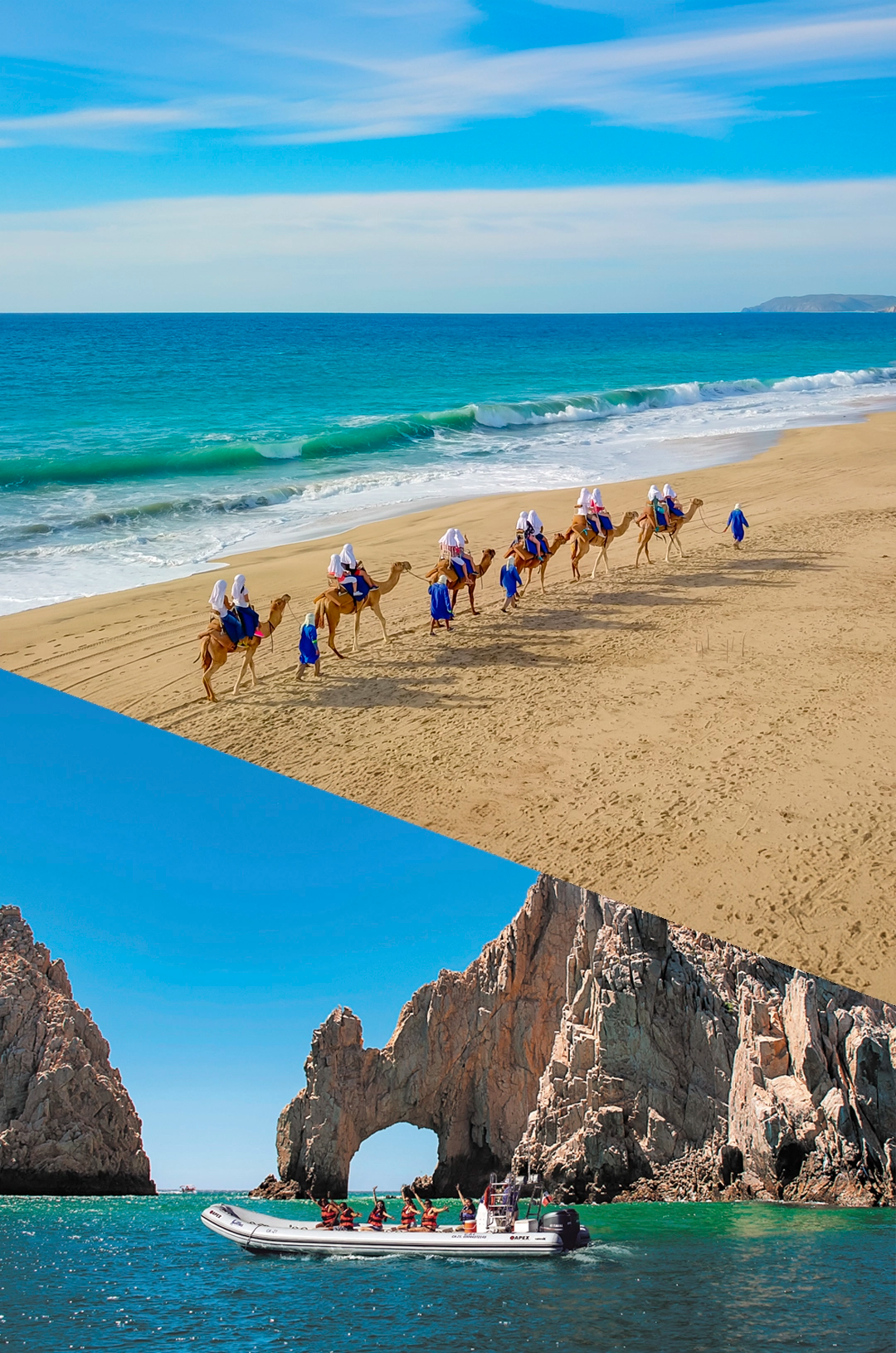 Camels on the beach and a boat in front of the Arch of Cabo San Lucas on a sunny day