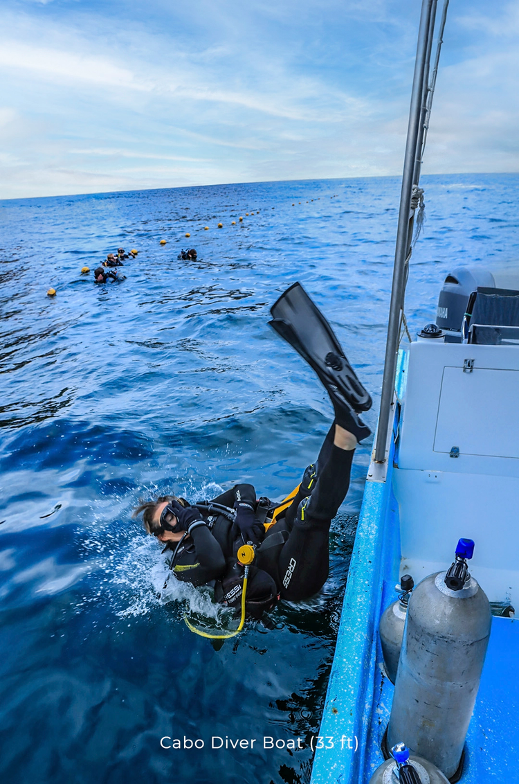 Buceador entrando al agua desde un barco en Cabo, listo para explorar el océano.