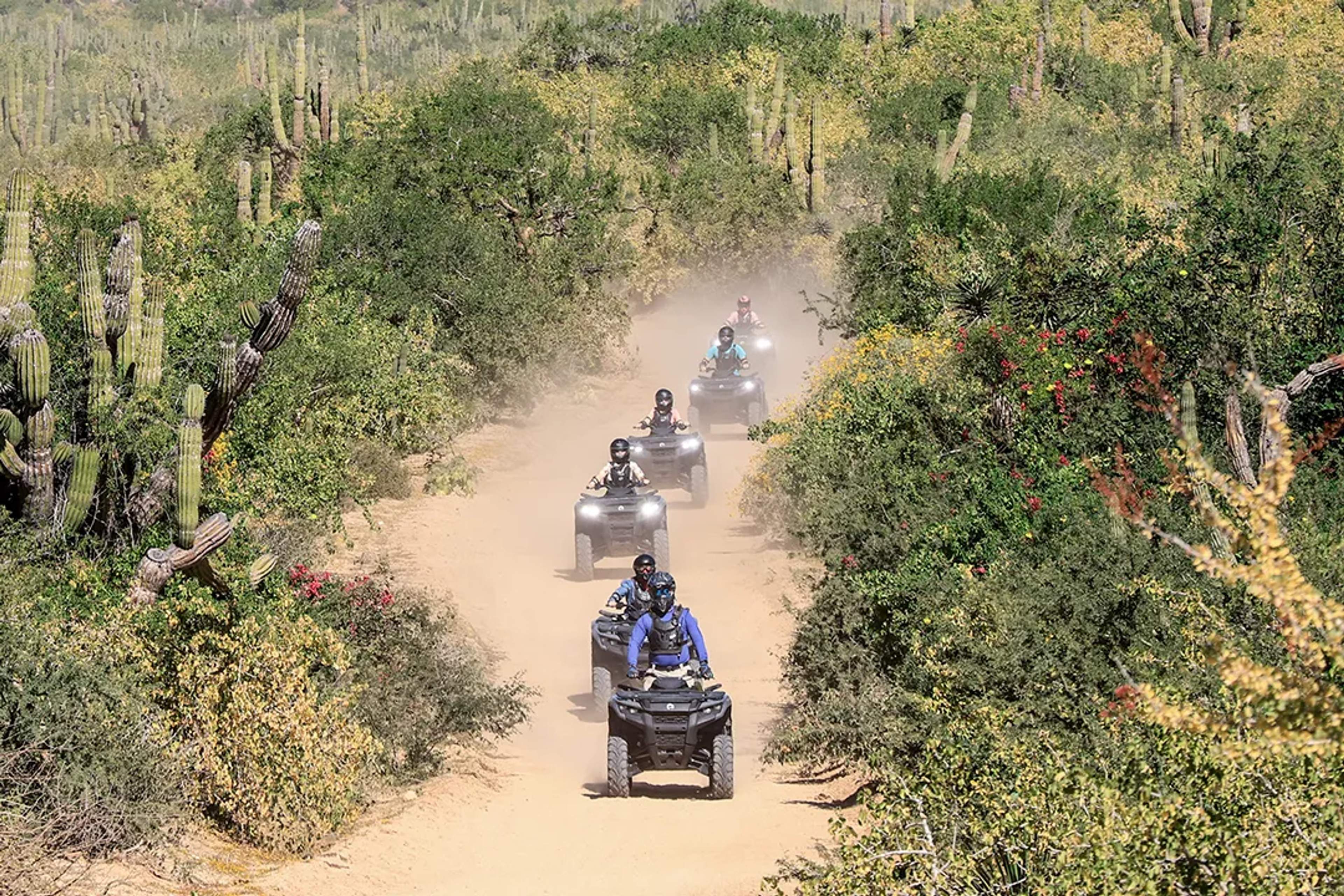 Group of people riding ATVs through a dusty desert trail surrounded by cactus and bushes in Cabo
