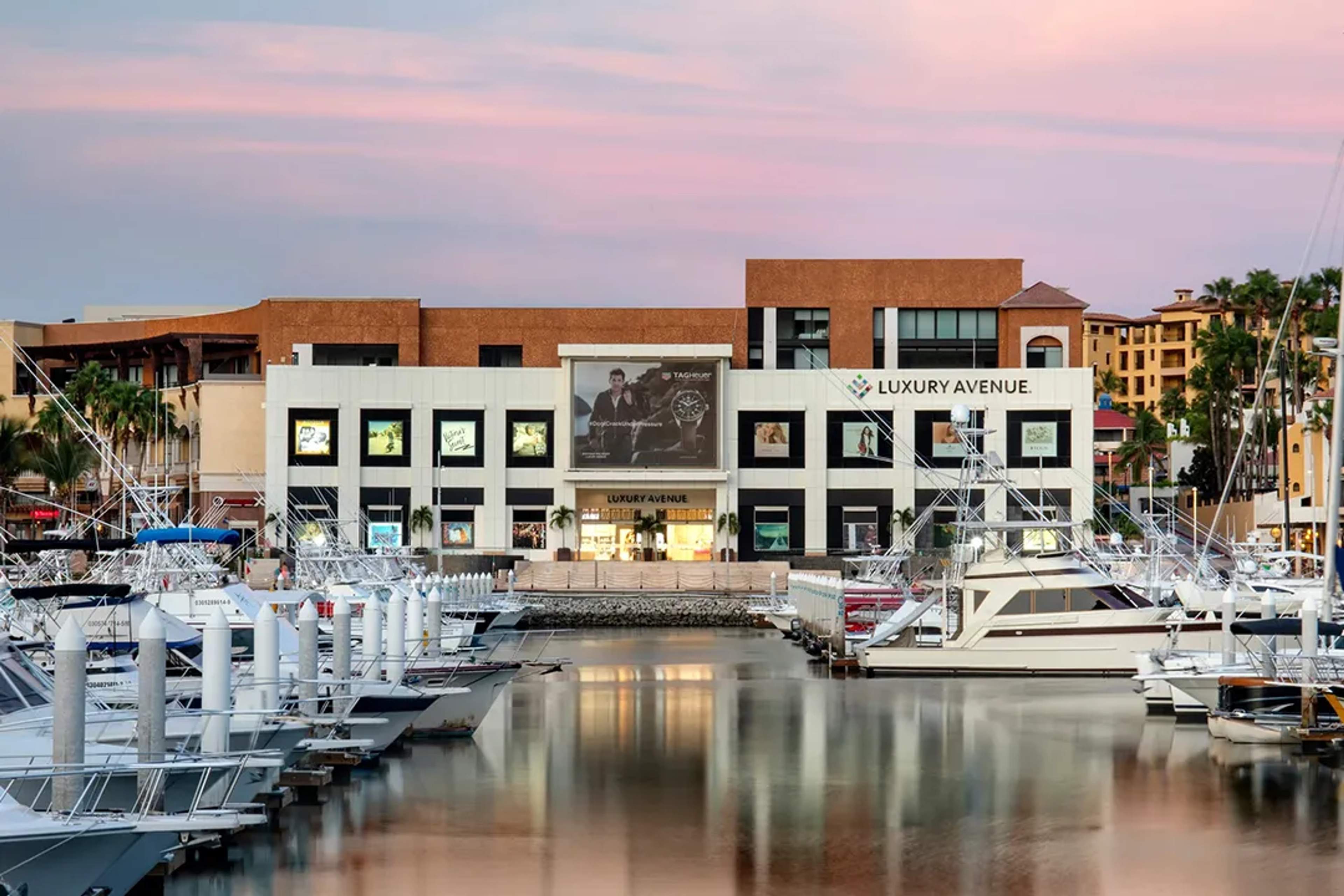 Luxury Avenue en Cabo San Lucas, rodeado de yates y un atardecer pastel sobre la marina.