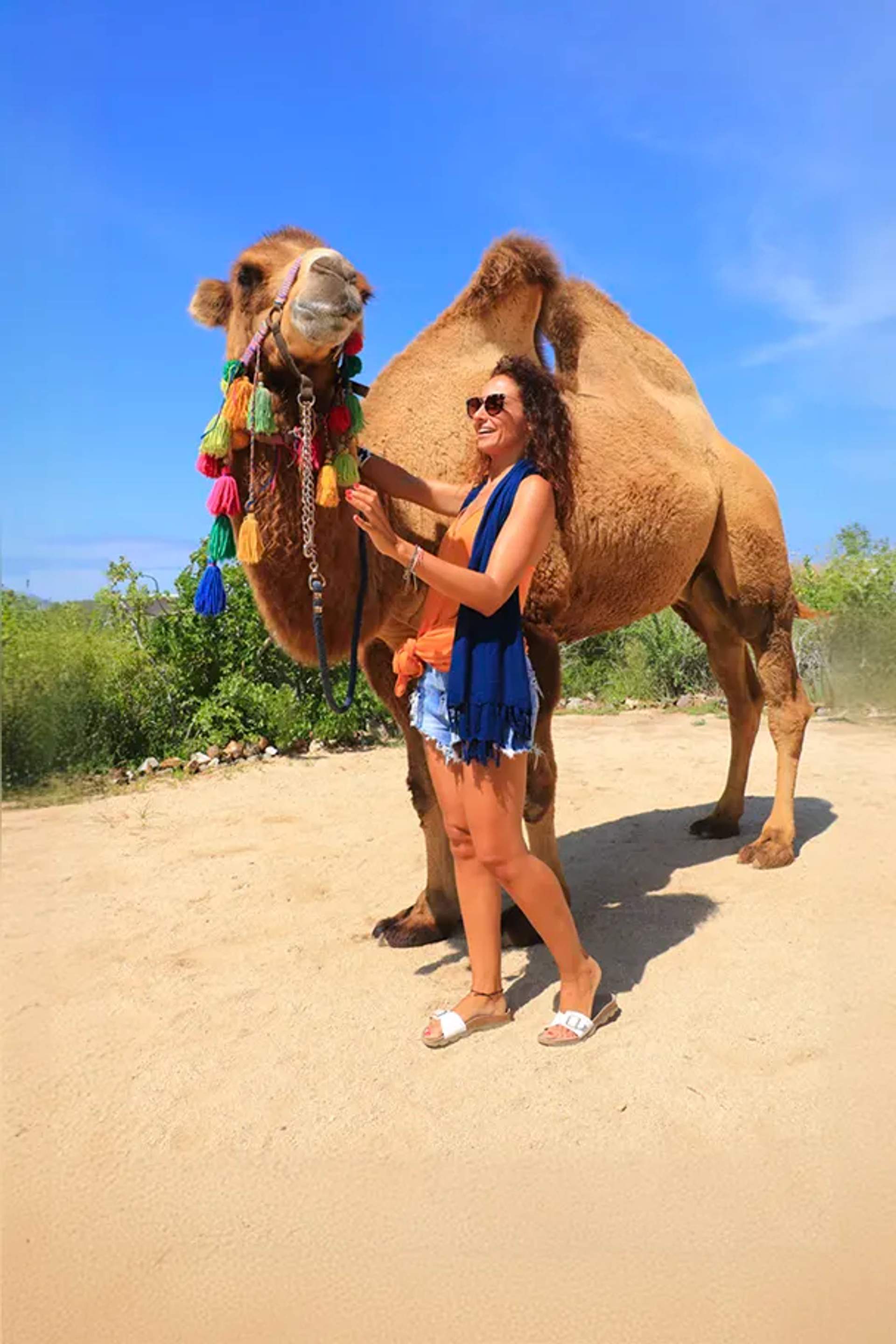 Amazing Animal Encounters in Cabo.