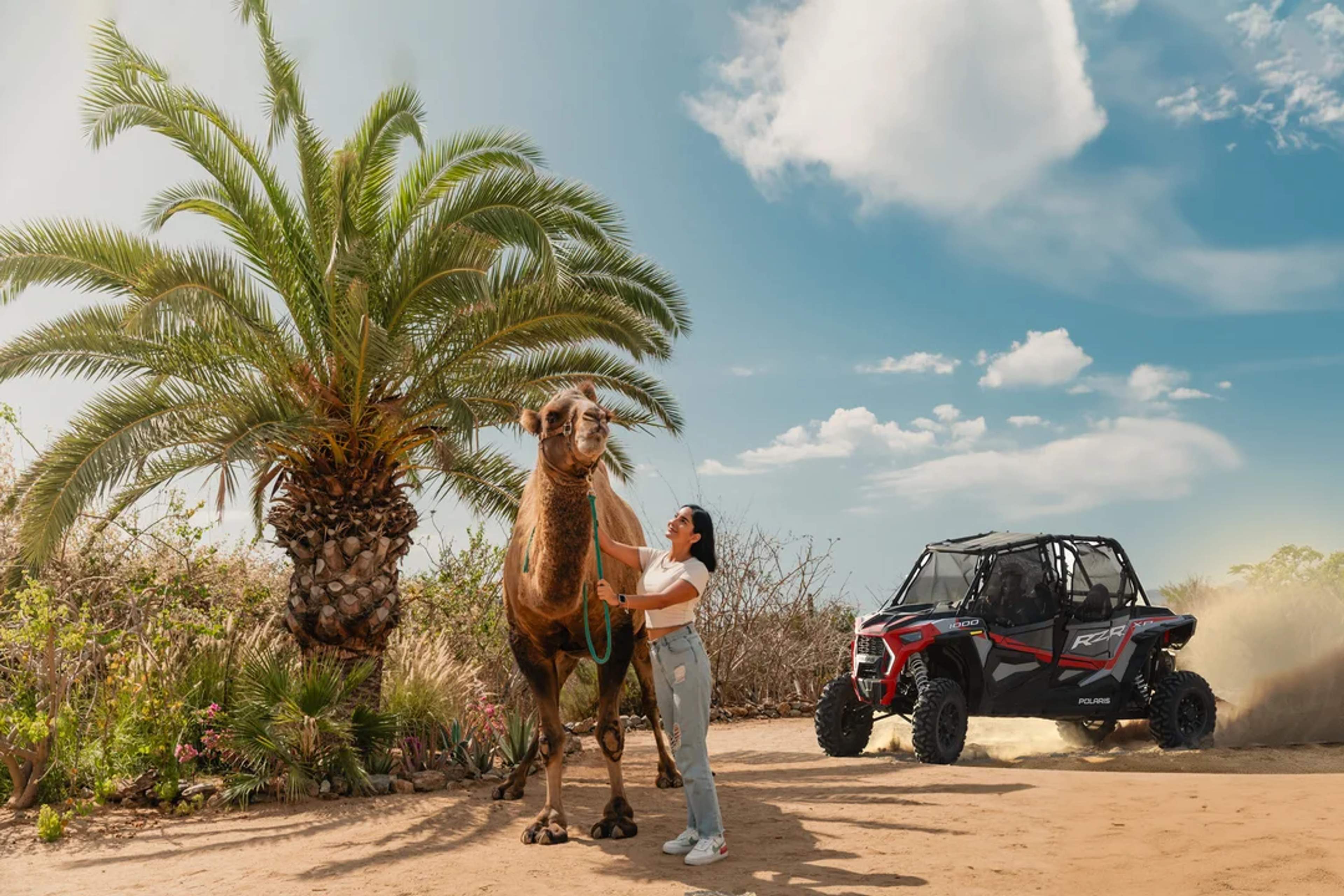 ¡Abraza a un camello, maneja un UTV y vive la emoción del desierto de Cabo en una aventura épica!