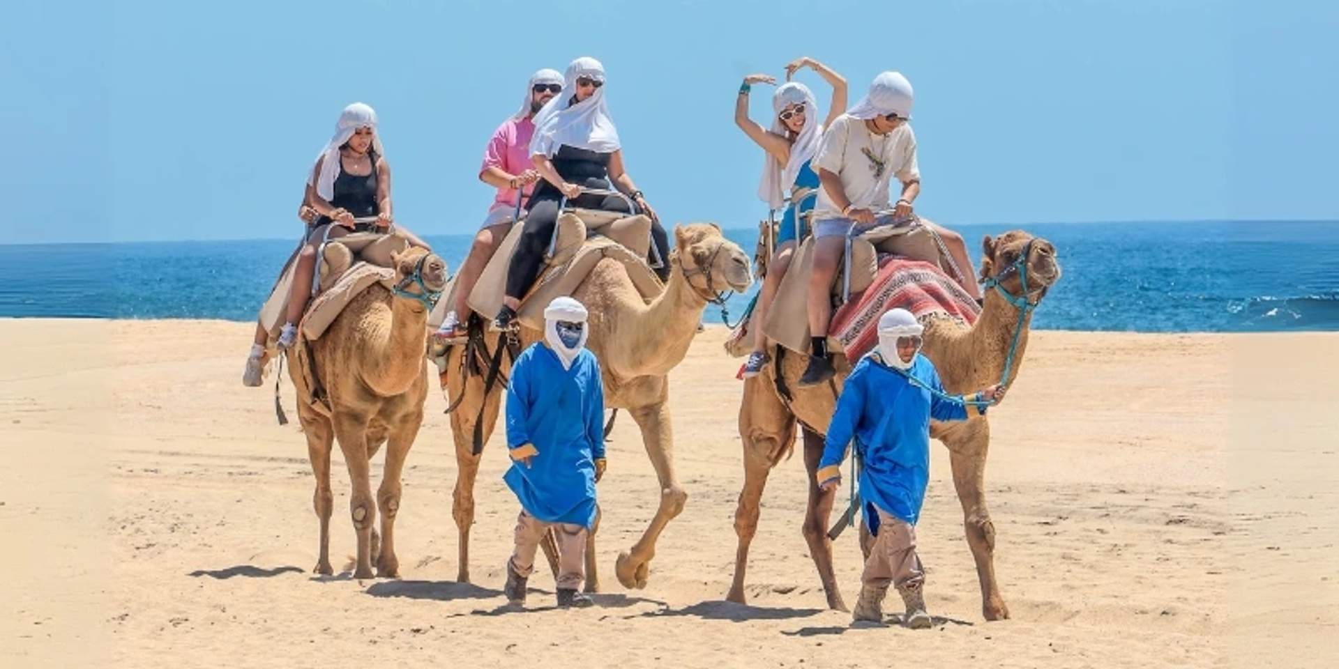 Camel Ride & Interaction at Cabo Adventures