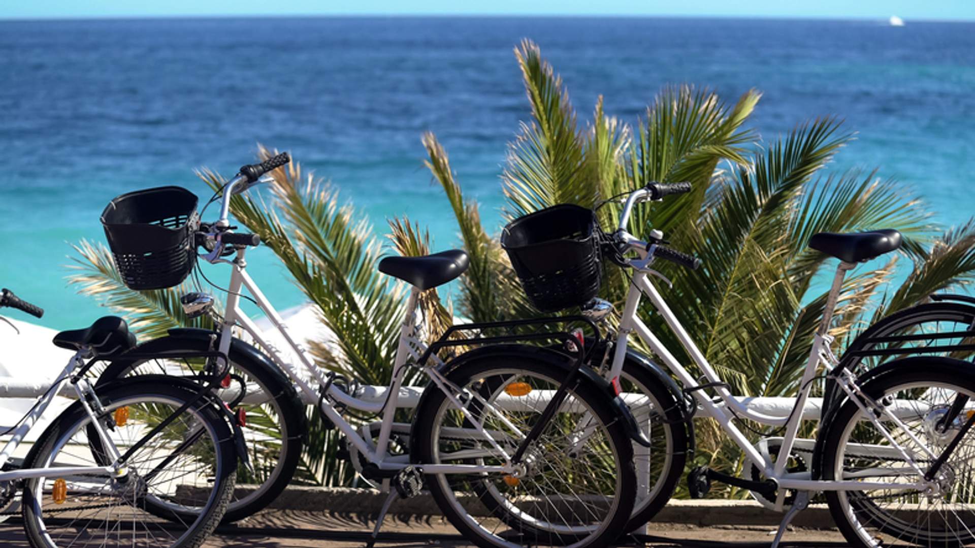 A row of bicycles with baskets parked by a coastal promenade, framed by palm trees, overlooking a vibrant blue sea.