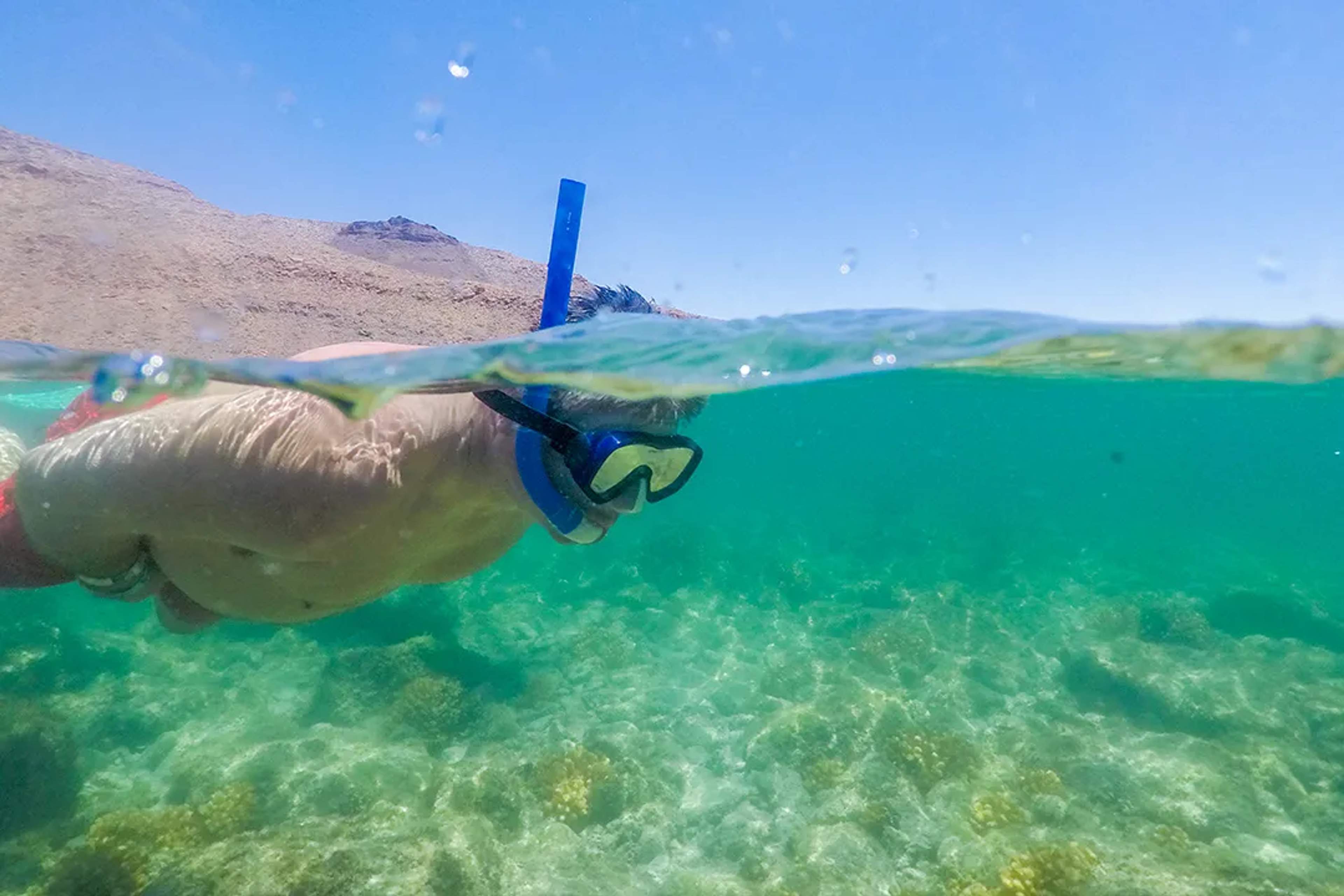 Hombre practicando snorkel en aguas turquesa, explorando corales junto a la costa desértica, en Los Cabos.