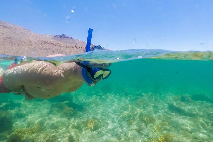 Man snorkeling in turquoise waters, exploring coral near a desert coastline in Los Cabos.