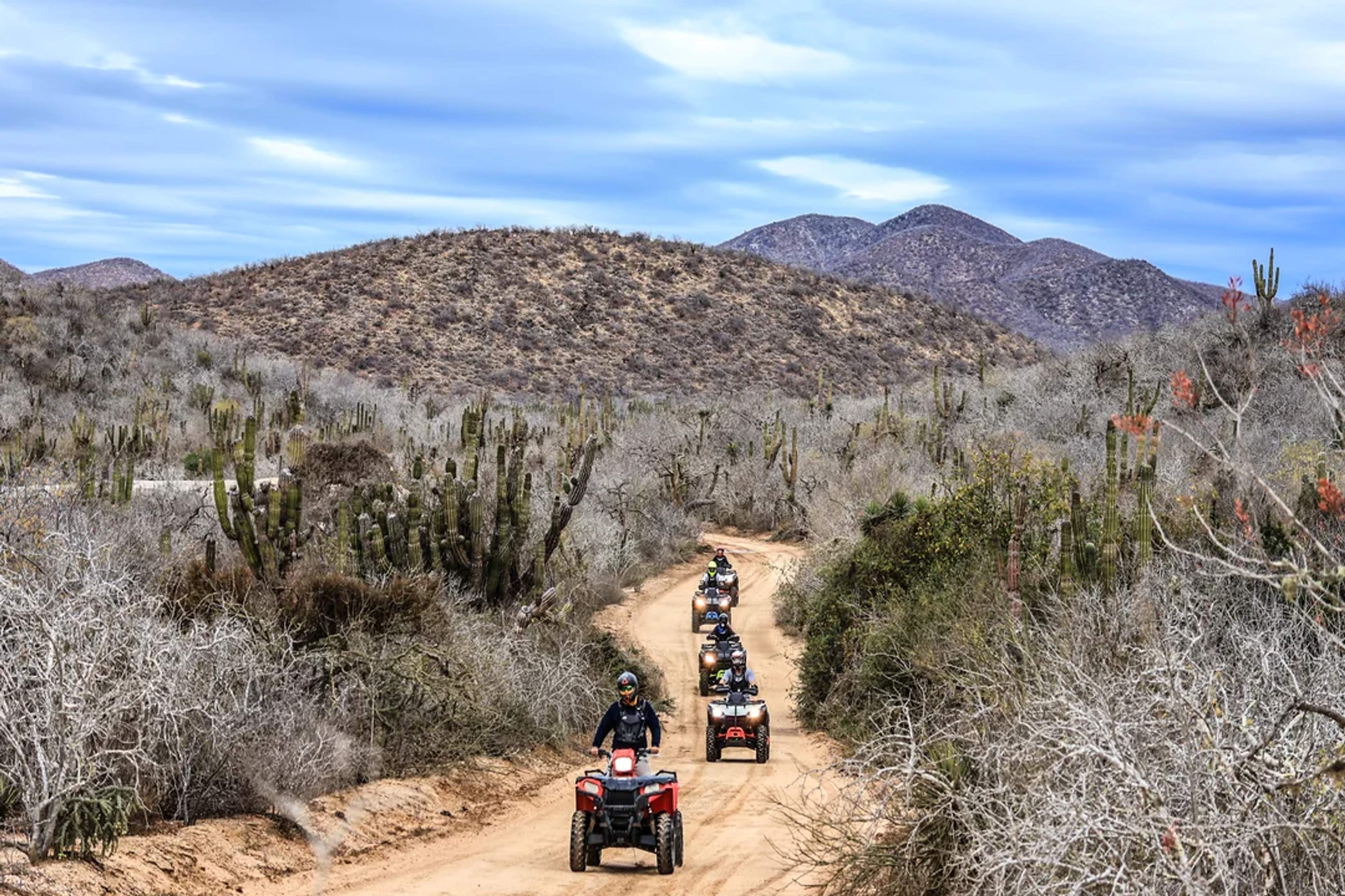 Ride your ATV through Baja’s rugged desert—pure excitement in every dusty turn!