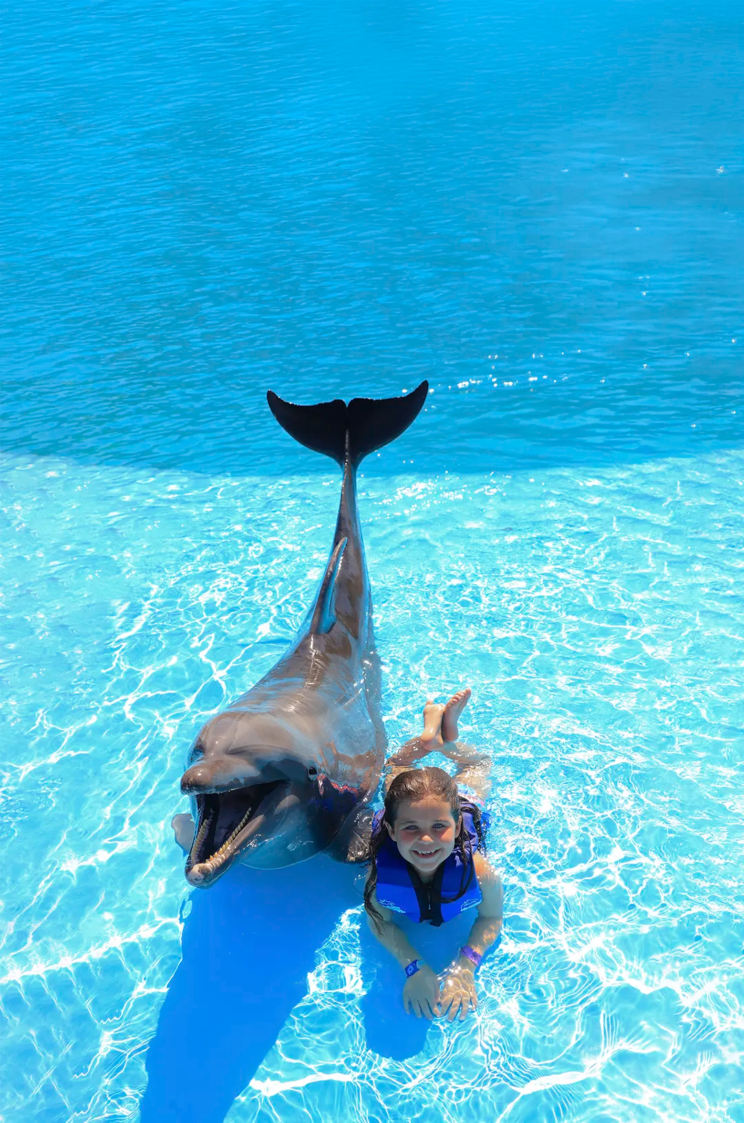 Smiling girl poses with a dolphin lying by the edge of a crystal-clear pool.