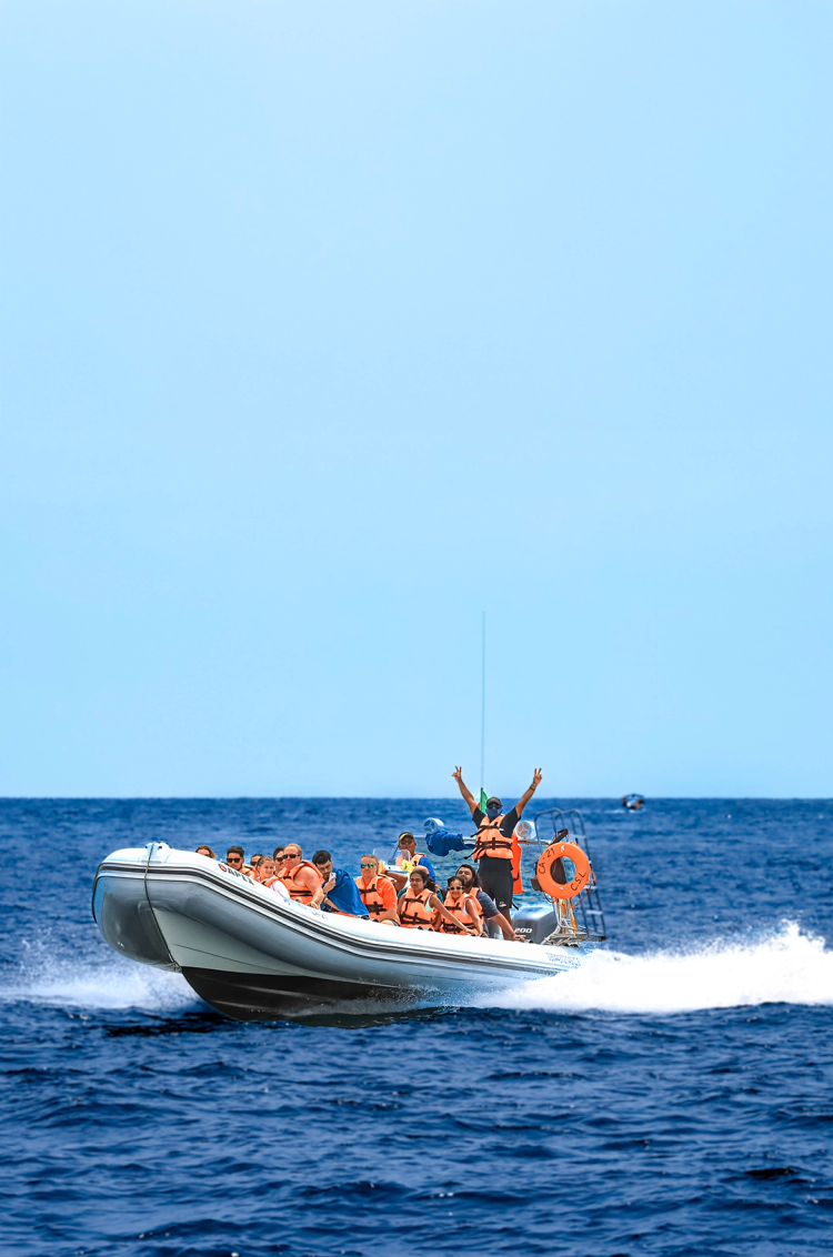 A boat full of passengers in orange life vests speeds across the ocean, with a guide raising their arms in excitement.