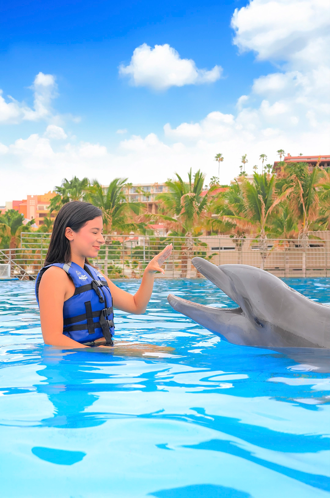 Young woman greets a dolphin in a pool surrounded by palm trees and blue sky.